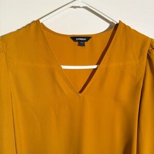 Express Golden Blouse